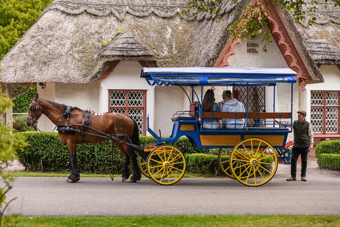 Private Jaunting Tour and Afternoon Tea in Killarney - From the Great Southern to the park