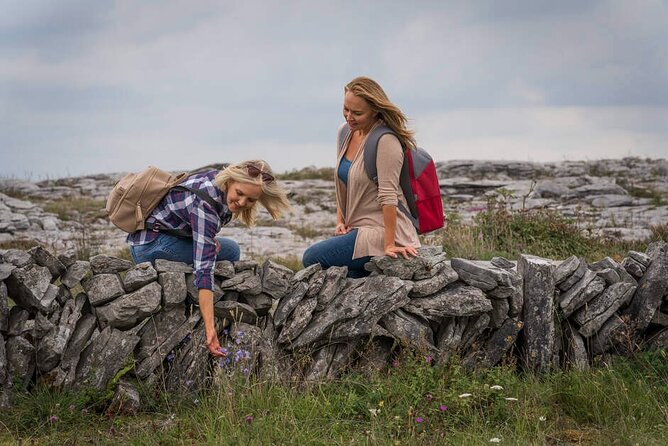 Private Limousine hire Cliffs of Moher Day Tour - Dunguaire Castle and Kinvara in fifteen minutes