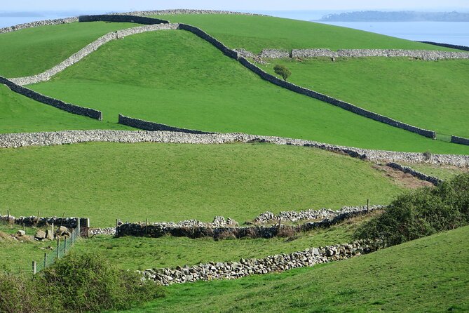 Private Luxury Tour of Newgrange and The Hill of Tara - What the private vehicle adds