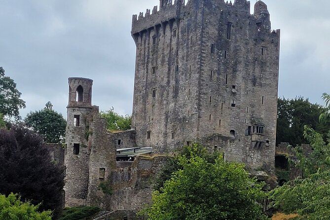 Private Tour , Blarney Castle, jameson Distillery and Cobh. - Blarney Castle and its 50 acres of gardens