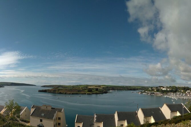 Private Tour: Classic Cork Tour visiting Blarney Castle & Kinsale - The driver-guide is central to the experience