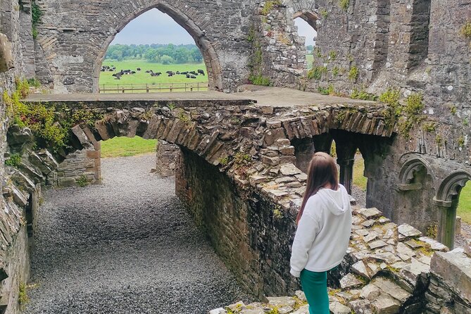 Private Tour from Dublin: Hill of Tara Trim Castle, Celtic sites - Trim Castle and medieval Trim