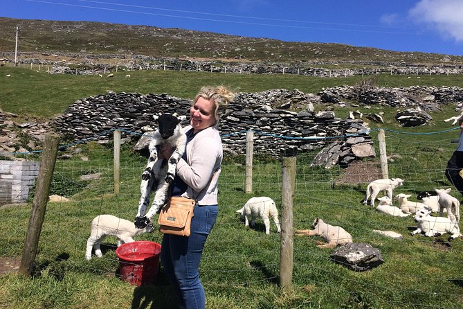 Private tour of Dingle and Slea Head with accredited guide - The Blasket Centre adds meaning to the scenery