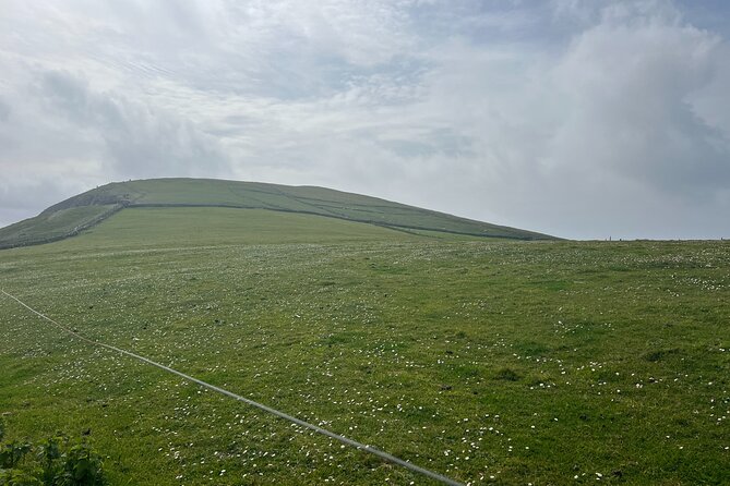 Private Tour of Dingle Peninsula from Killarney - Six to eight hours from Killarney
