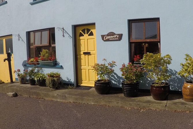 Private Tour: Ring of Beara from Kenmare. - What the $288.38 price means in practice