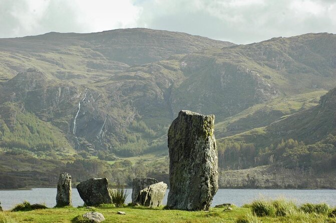 Private Tour: Ring of Beara from Killarney. - Derreen Gardens and its cool, green paths