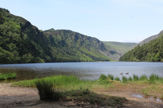 Private Wicklow Mountains Day Tour - From Dublin’s coast to Wicklow’s high country