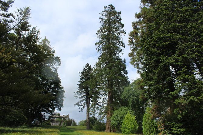 Private Wicklow Mountains Day Tour - What the private format really adds