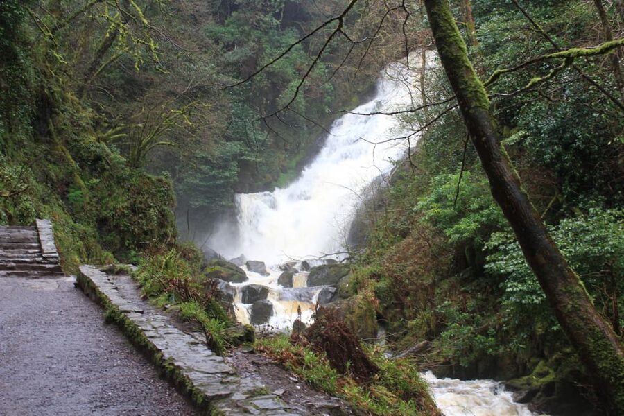 Private Wild Atlantic Day Tour from Cork - Price, group size, and what you still pay