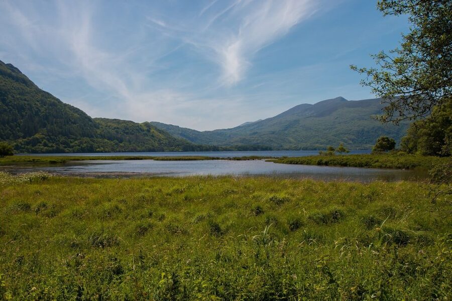 Rail Tour from Dublin: The Ring of Kerry - Extra stops, cash, and the touristy side of the day