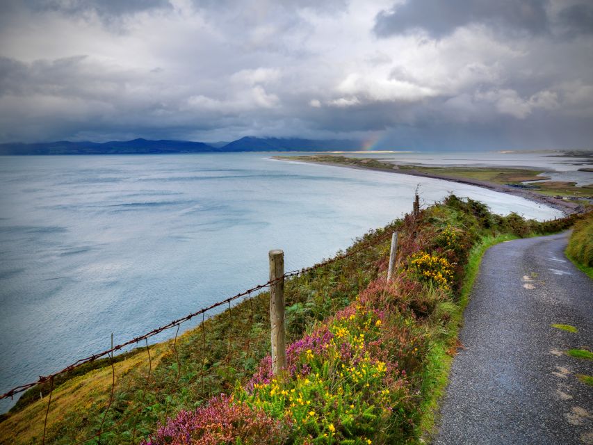 Rail Tour from Dublin: The Ring of Kerry - Meeting the train at Dublin Heuston