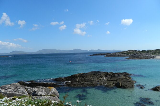 Ring of Kerry and Skellig Ring Private Tour - Ladies’ View and Torc Waterfall