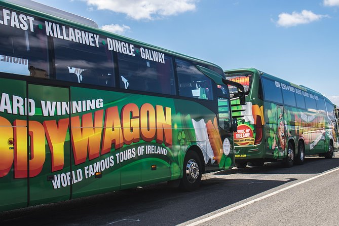 Ring of Kerry Day Tour from Cork: Including Killarney National Park - Killorglin adds a bit of local character