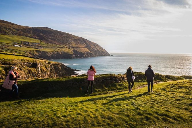 Ring of Kerry Day Tour from Cork: Including Killarney National Park - Dingle Bay delivers the big coastal views
