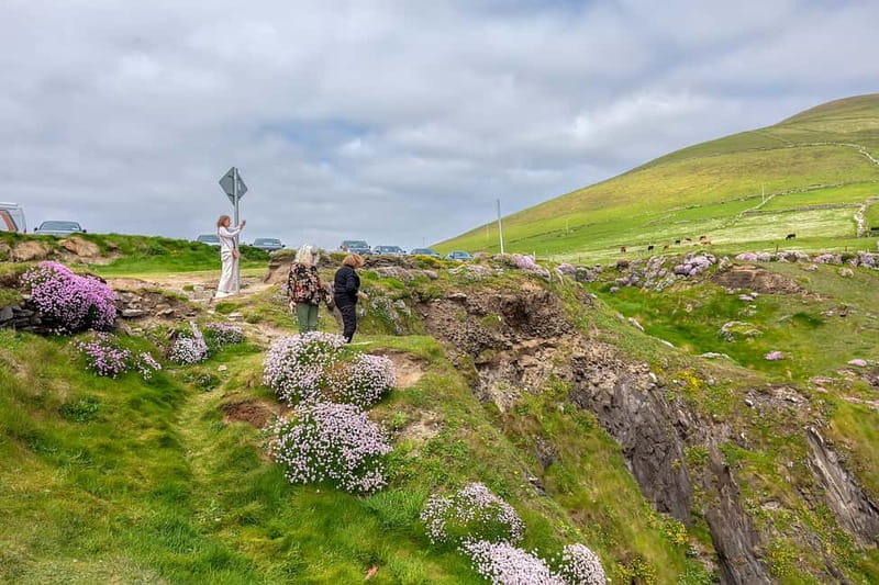 Ring of Kerry & Kerry Cliffs: Private Tour from Killarney - The guide and the value of personal service