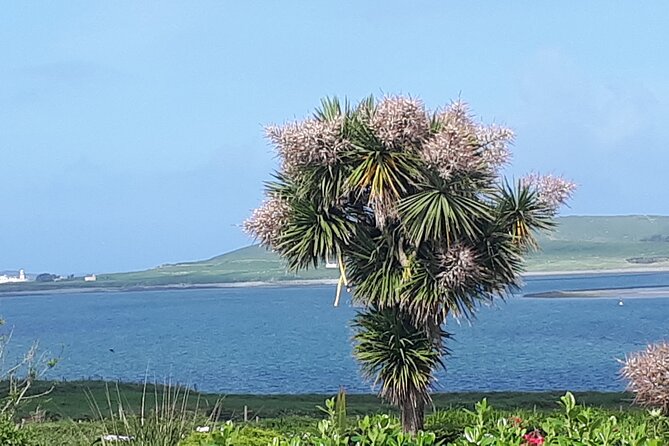 Ring of Kerry Private Tour - Key points to know before booking