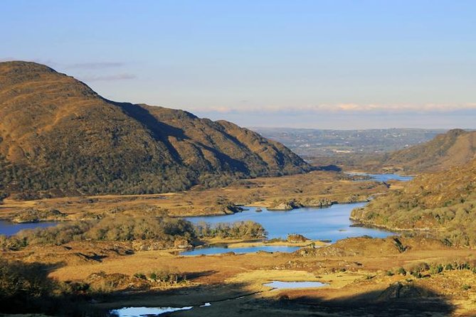 Ring of Kerry private Tour from Killarney, Car or minibus - A sweet stop at Skellig Chocolate