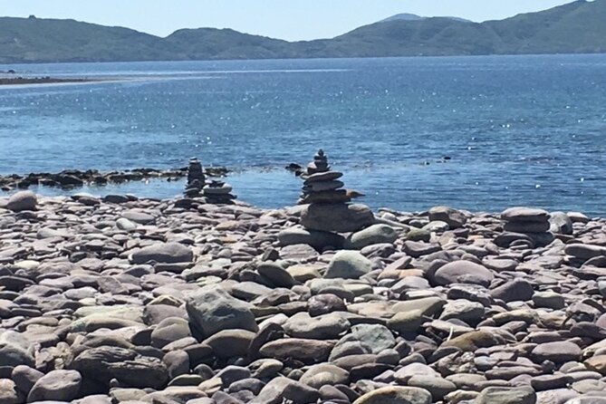 Ring of Kerry private Tour from Killarney, Car or minibus - Torc Waterfall is short, pretty, and easy to add