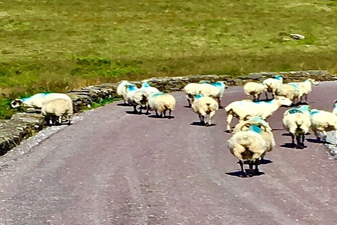 Ring of Kerry private Tour from Killarney, Car or minibus - Portmagee and the Skellig coast