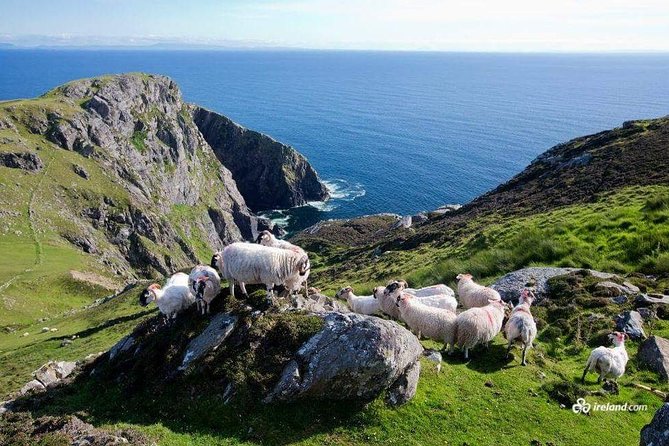 Ring of Kerry & Skellig Ring Private Day Tour - Why a private Ring of Kerry tour works so well