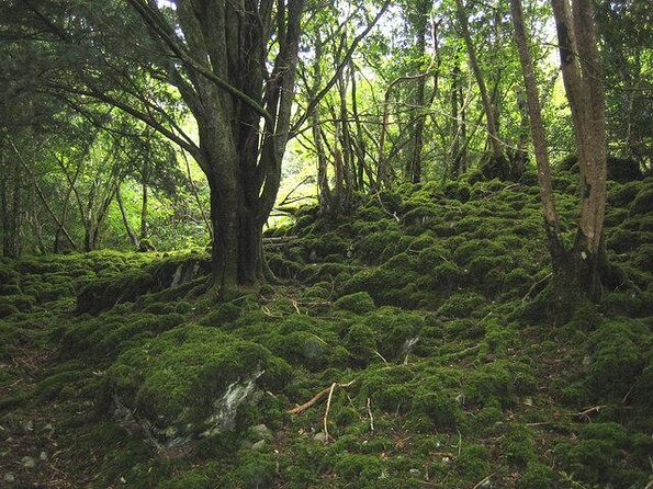 Ring Of Kerry Tour - Ring of Kerry Tour at a glance