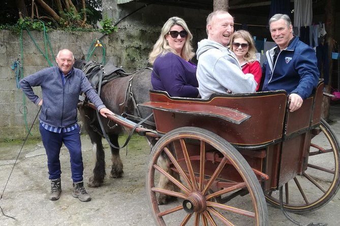 Ring of Kerry Tour Private Chauffeur Driven From Killarney - Why a private Ring of Kerry day works well