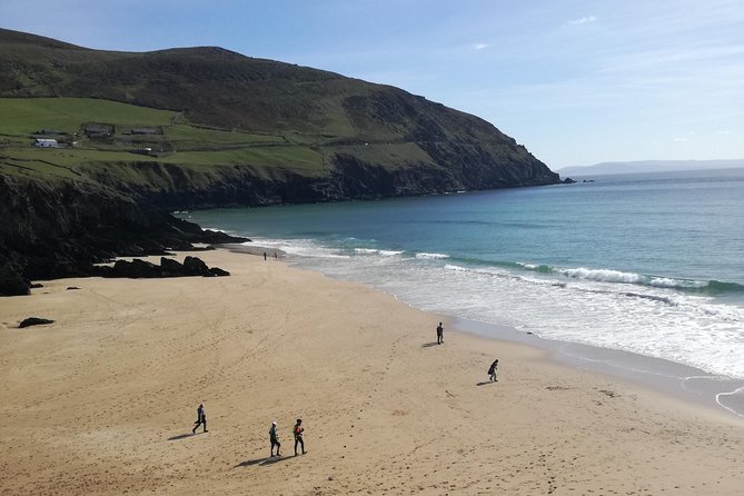 Ring of Kerry Tour Private Chauffeur Driven From Killarney - Starting from Killarney at 9:30 a.m.