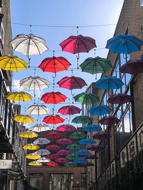 Secret and unusual Dublin: guided walking tour - Temple Bar beyond the postcard view