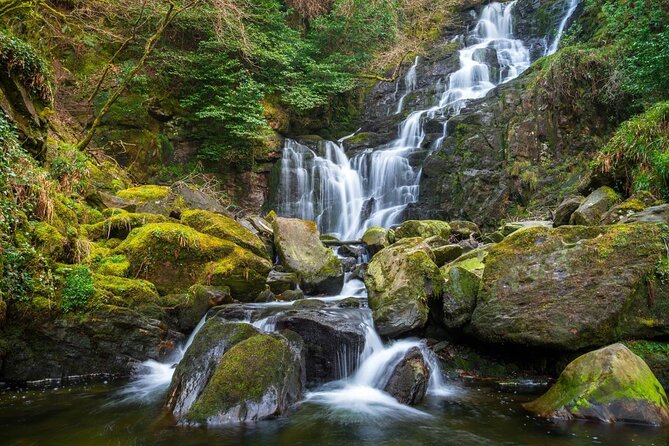 Self-Guided Bike Tour of Killarney National Park, Muckross Gardens & Waterfall - What the $24.20 price really covers