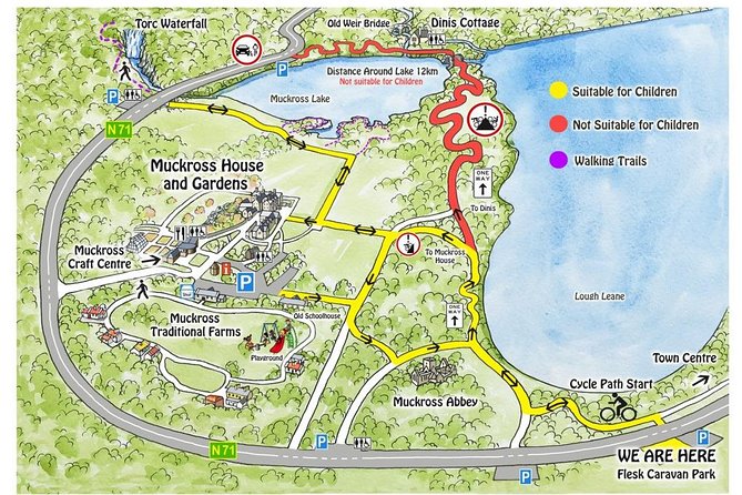 Self-Guided Bike Tour of Killarney National Park, Muckross Gardens & Waterfall - Muckross Abbey and its old cloister