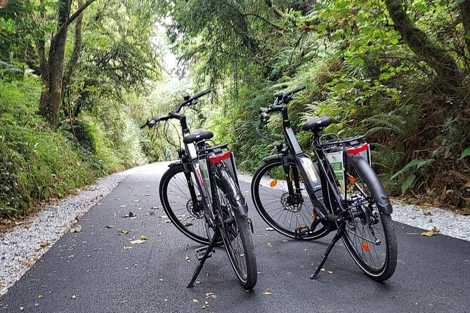 Self Guided Bike Tour on the Limerick Greenway - Is $18.02 good value?