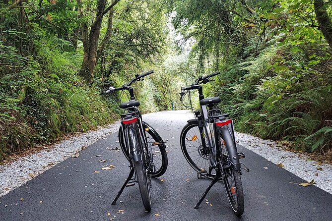 Self Guided Bike Tour on the Tralee to Fenit Greenway - Choosing between a standard bike and an e-bike