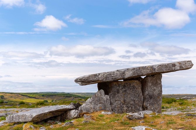 Self Guided Electric Bike Tour of Historical Sites in the Burren Co Clare - Caherconnell Stone Fort and the sheepdog demonstration