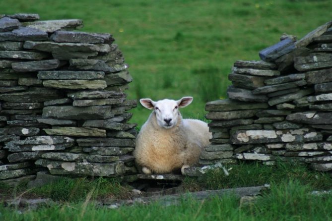 Self Guided Electric Bike Tour of Historical Sites in the Burren Co Clare - What the price of $78.10 really covers