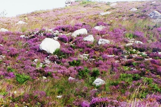 Self Guided Electric Bike Tour of Historical Sites in the Burren Co Clare - Weather, effort, and the self-guided tradeoff