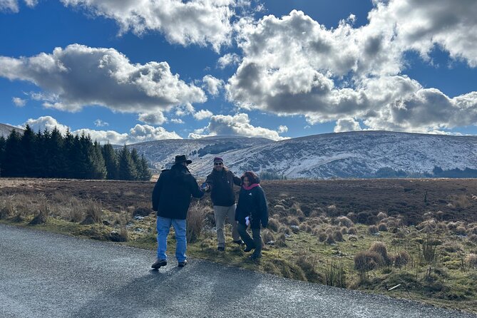 Sheepdogs in the countryside, authentic Dubliners city tour combo - Why the Wicklow sheepdog visit is the heart of the day