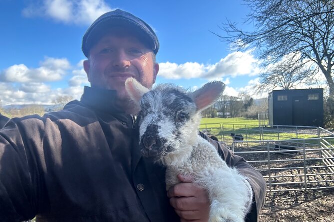 Sheepdogs in the countryside, authentic Dubliners city tour combo - Returning to Dublin after the countryside