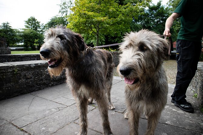 Skip the Line: Bunratty Castle and Folk Park Admission Ticket - Gardens, animals, and the fairy trail