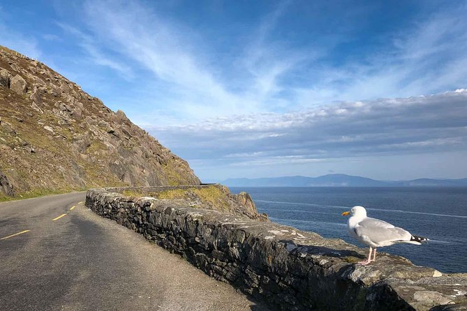 Slea Head Photo & Sightseeing Tour - Slea Head and the first ocean views