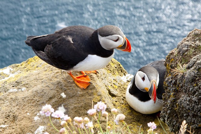 Small Group - Cliffs Cruise, Aran Islands AND Connemara in One Day from Galway - The journey from Galway to Doolin