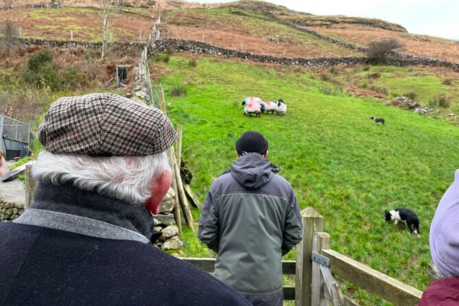 Small Group Kylemore Abbey, Sheepdog Demo & Connemara Tour - Why this Galway tour works so well