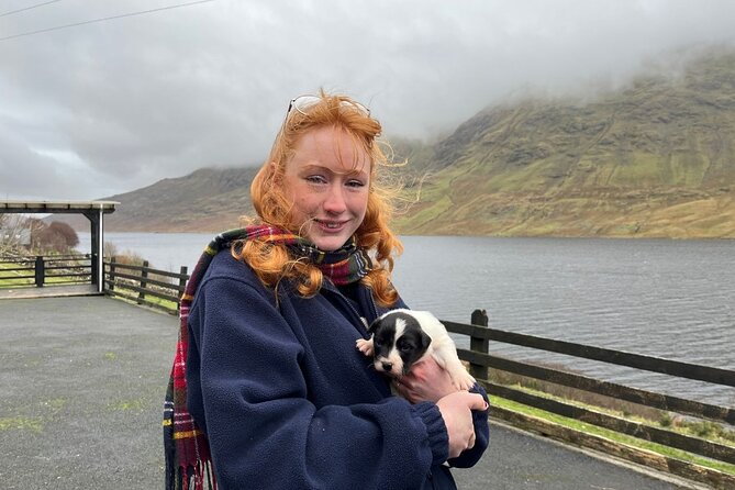 Small Group Kylemore Abbey, Sheepdog Demo & Connemara Tour - What the guide adds to the drive