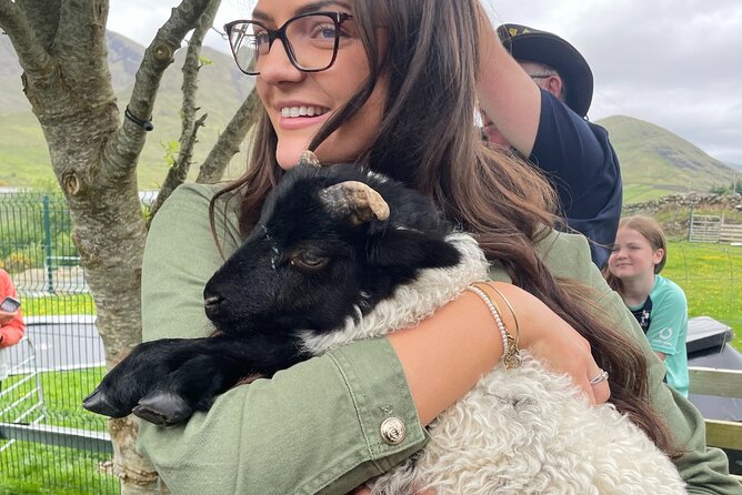 Small Group Kylemore Abbey, Sheepdog Demo & Connemara Tour - Weather, group size, and timing