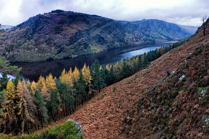 (Small Group) Shore Tour from Dublin:Dublin Highlights and Glendalough Day Trip - Small-group comfort, timing, and walking demands