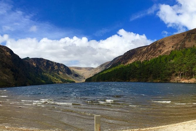 Spanish Glendalough And Powerscourt Tour - The optional Upper Lake walk through oak and fern
