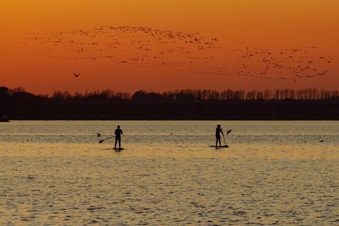 Sunset SUP experience in Malahide, Dublin - Key points to know before booking