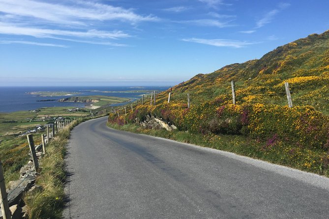 Sustainable Connemara and Galway Bay Rail Tour from Dublin - Is $193.86 a fair price?