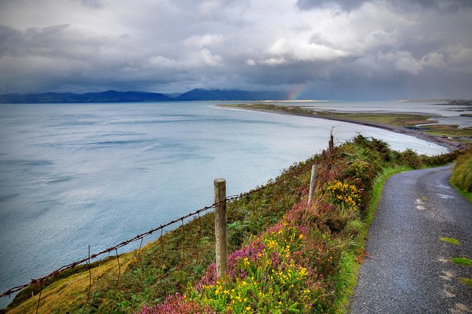 Sustainable Ring of Kerry Rail Tour from Dublin - Key points to know before booking