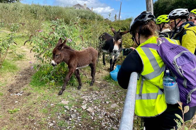 Taste of Connemara Tour by Electric Fat Tyre Bike - Furbo and the old work of cutting turf