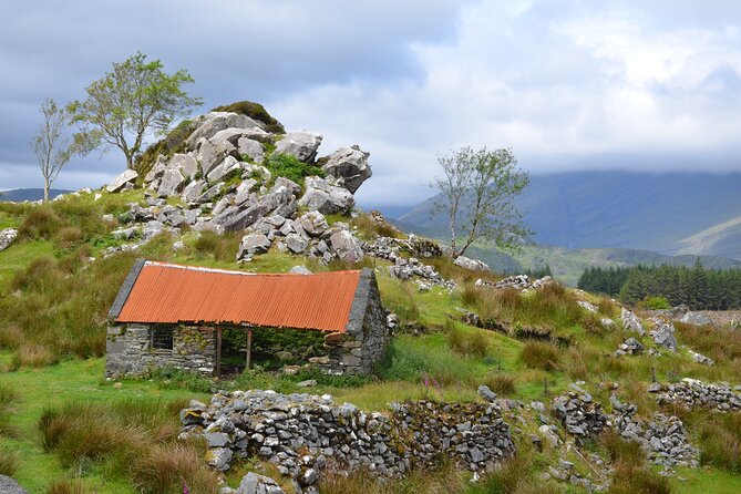 The Best Two Day Tours in Ireland: The Ring of Kerry and Dingle Slea Head Tours - Guides who shape the experience
